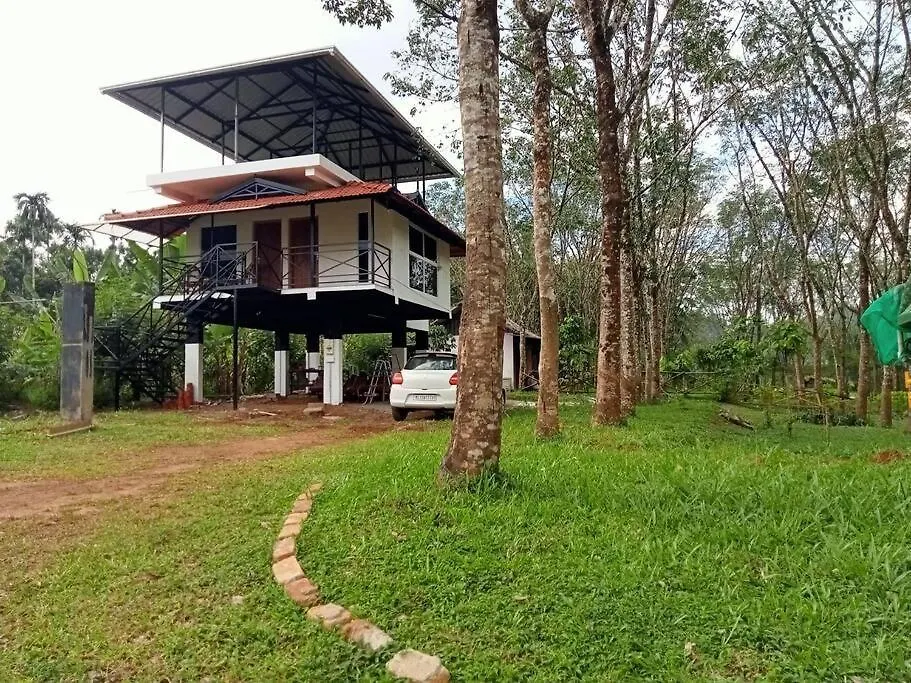 Sansree'S Lake & Mountain View Padinjarathara